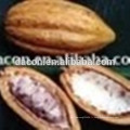 Cacao pe 20% etc